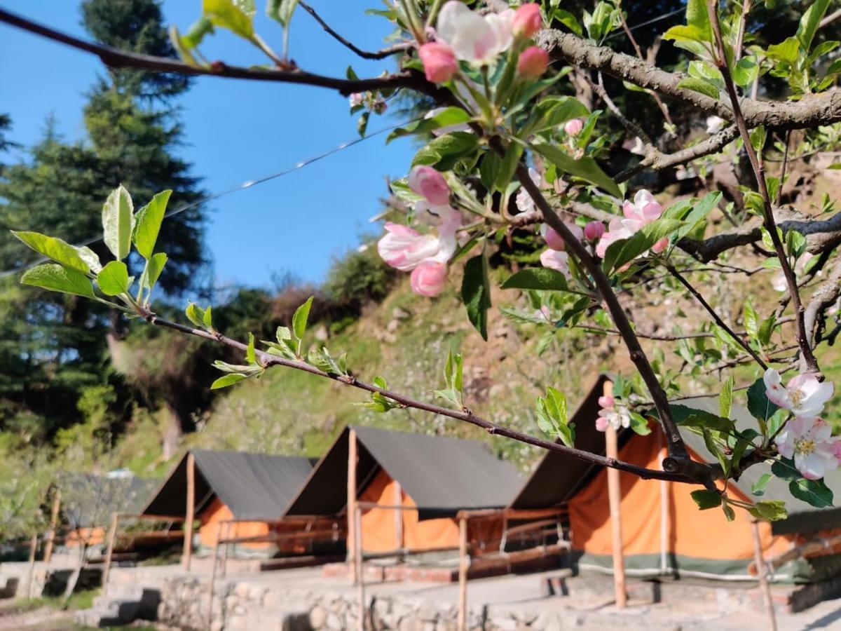 Himtrek Riverside Camps & Hostel Manali Екстер'єр фото
