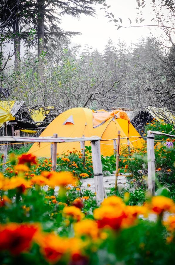 Himtrek Riverside Camps & Hostel Manali Екстер'єр фото