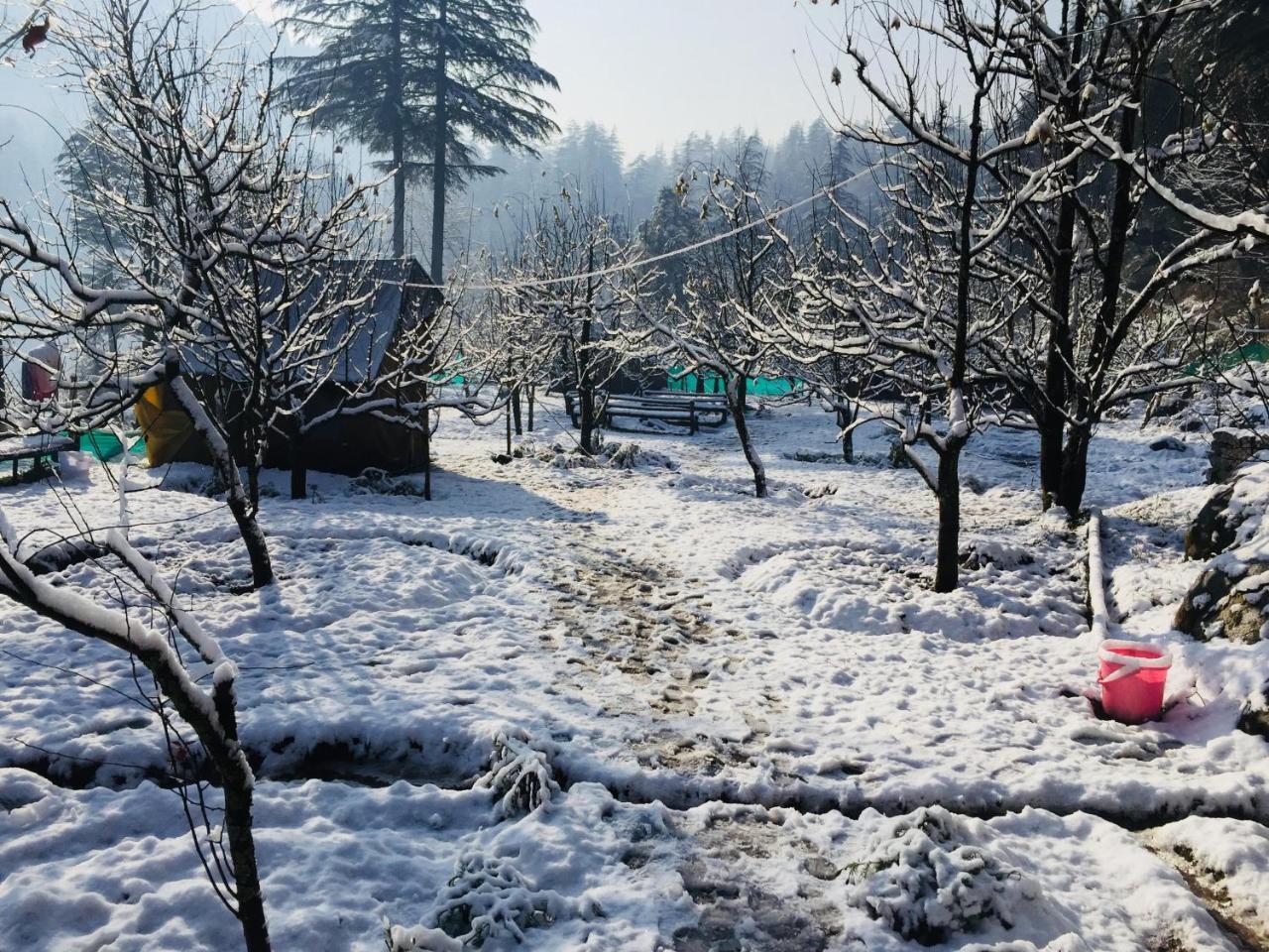 Himtrek Riverside Camps & Hostel Manali Екстер'єр фото